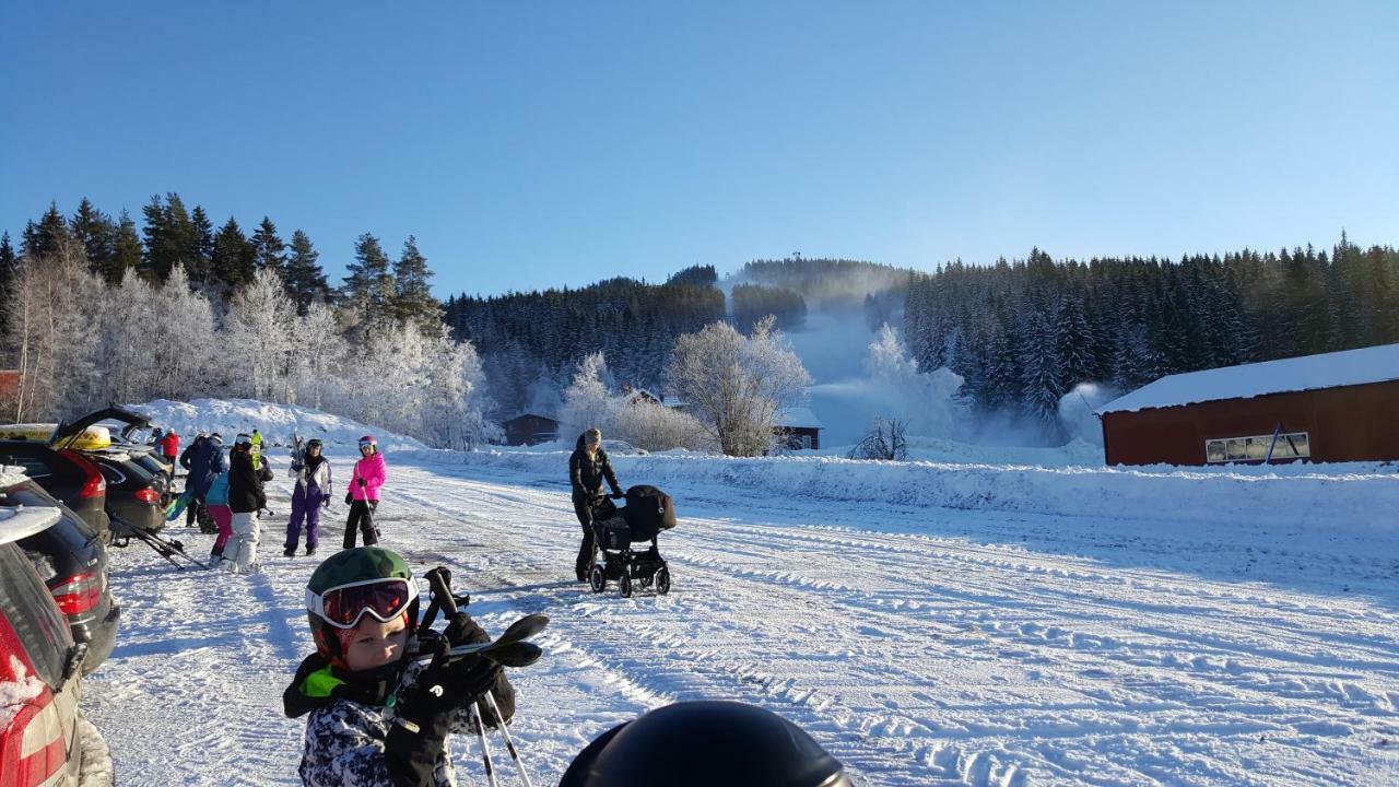 Igma Lodge Borlänge Exteriér fotografie
