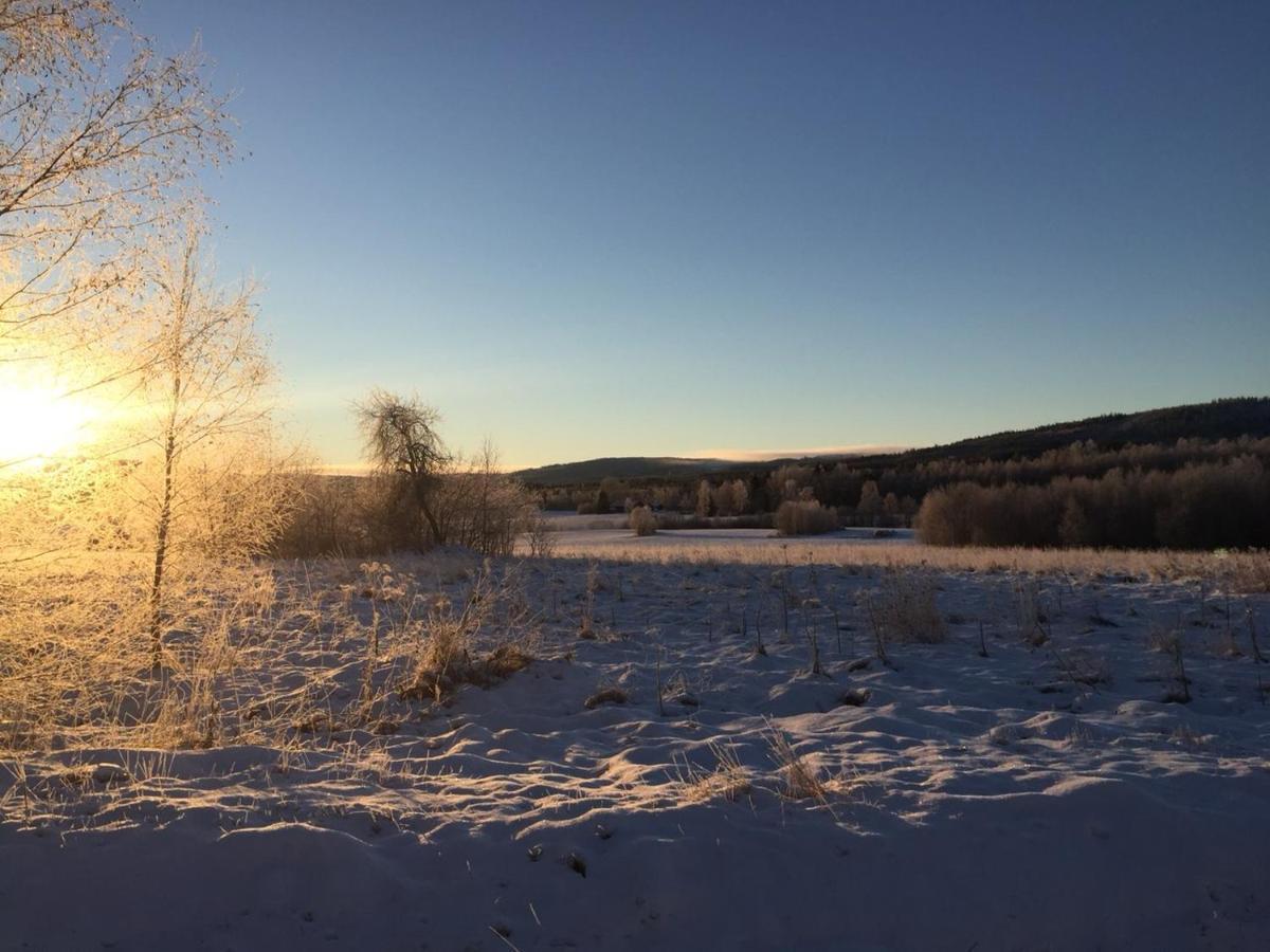 Igma Lodge Borlänge Exteriér fotografie